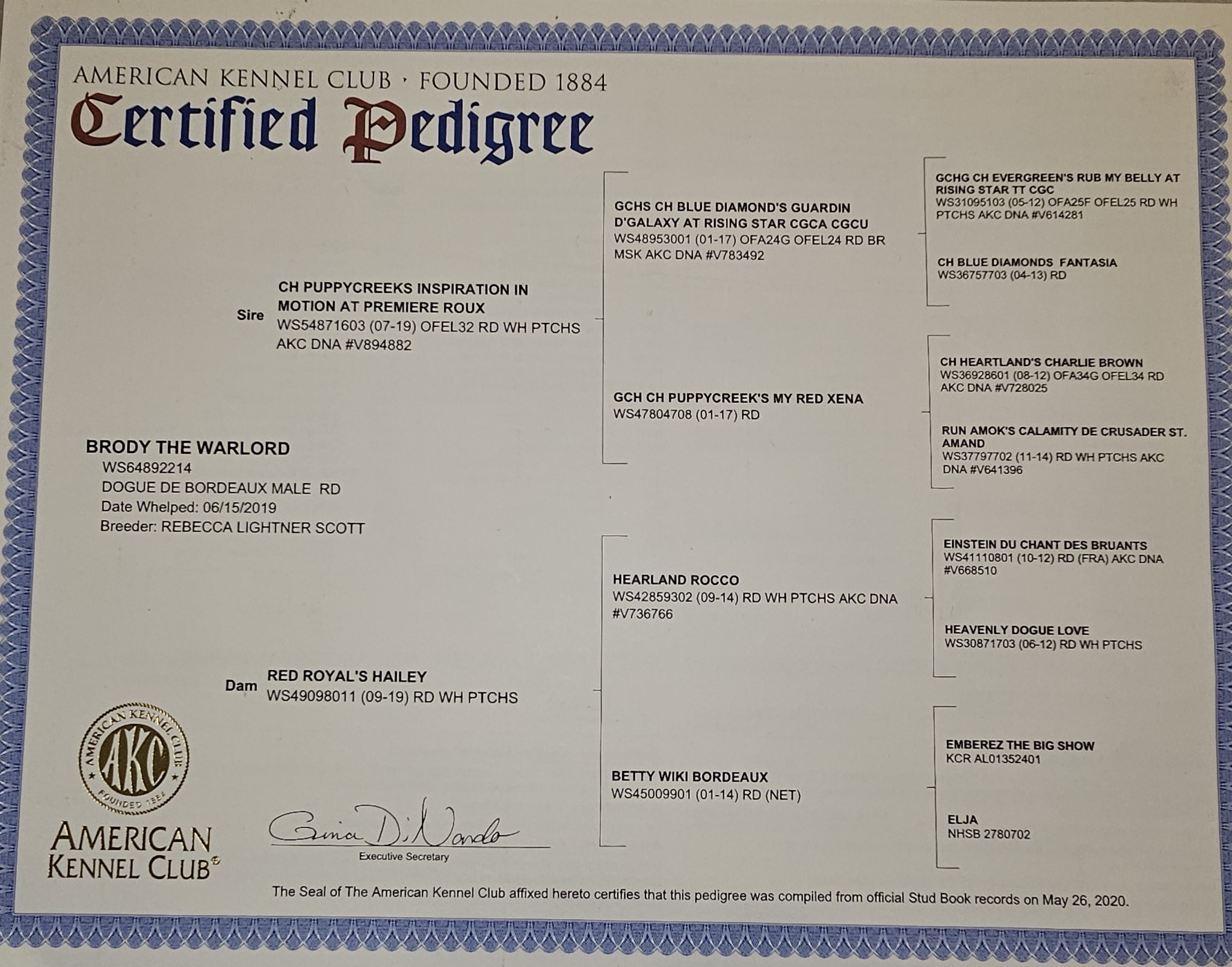 axel sire pedigree